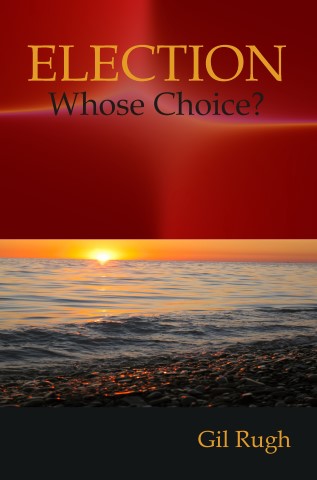 Election: Who's Choice? Booklet cover