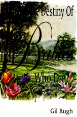 What is the Destiny of Babies Who Die? Booklet cover